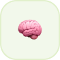 PV ICON 4