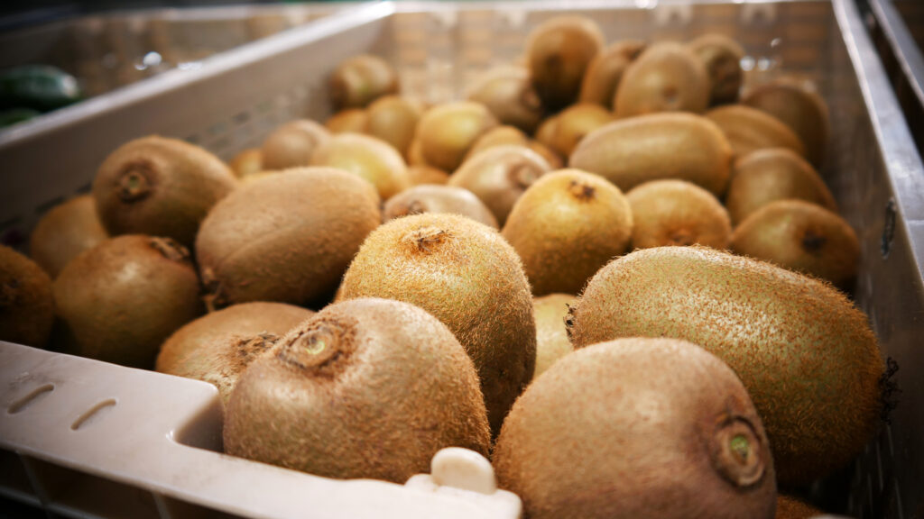 Prezzo kiwi ingrosso oggi
