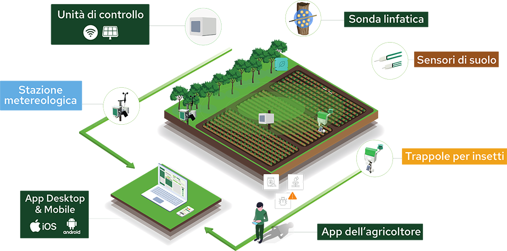 Field Notes 5 Plantvoice ecosistema 1