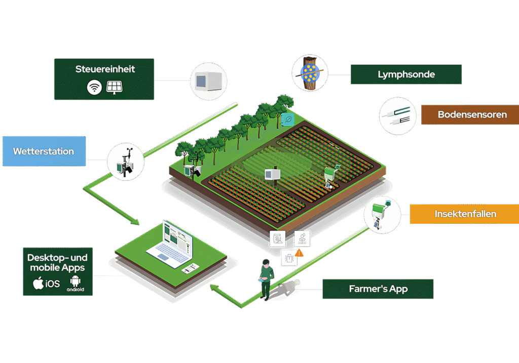 Feldnotizen 5 Plantvoice Ökosystem