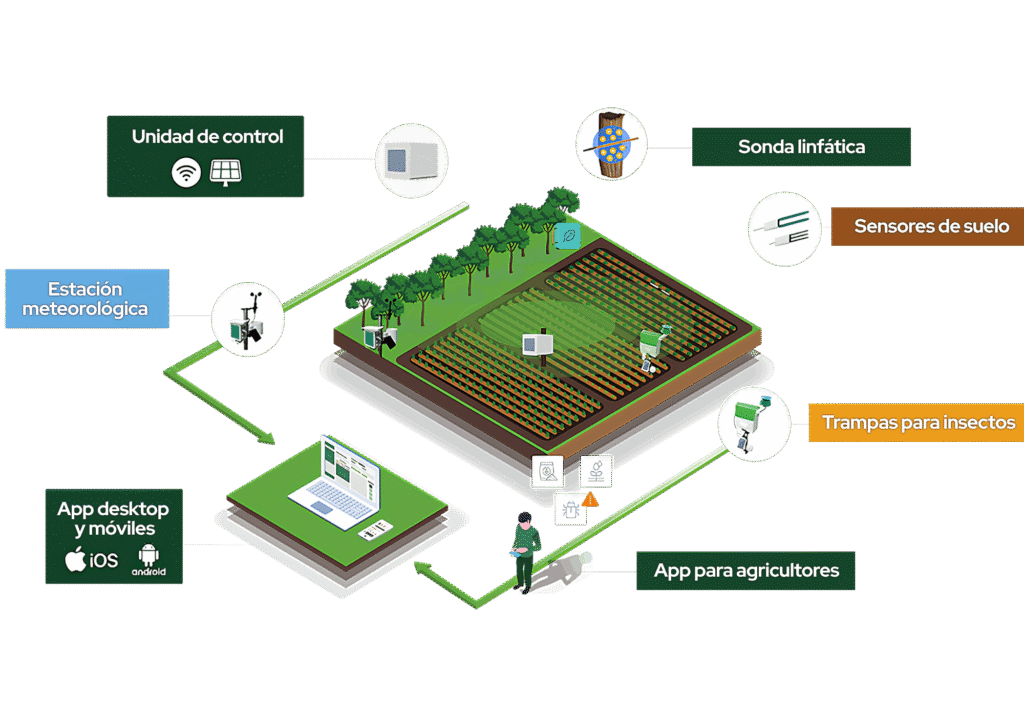Notas de campo 5 Ecosistema Plantvoice