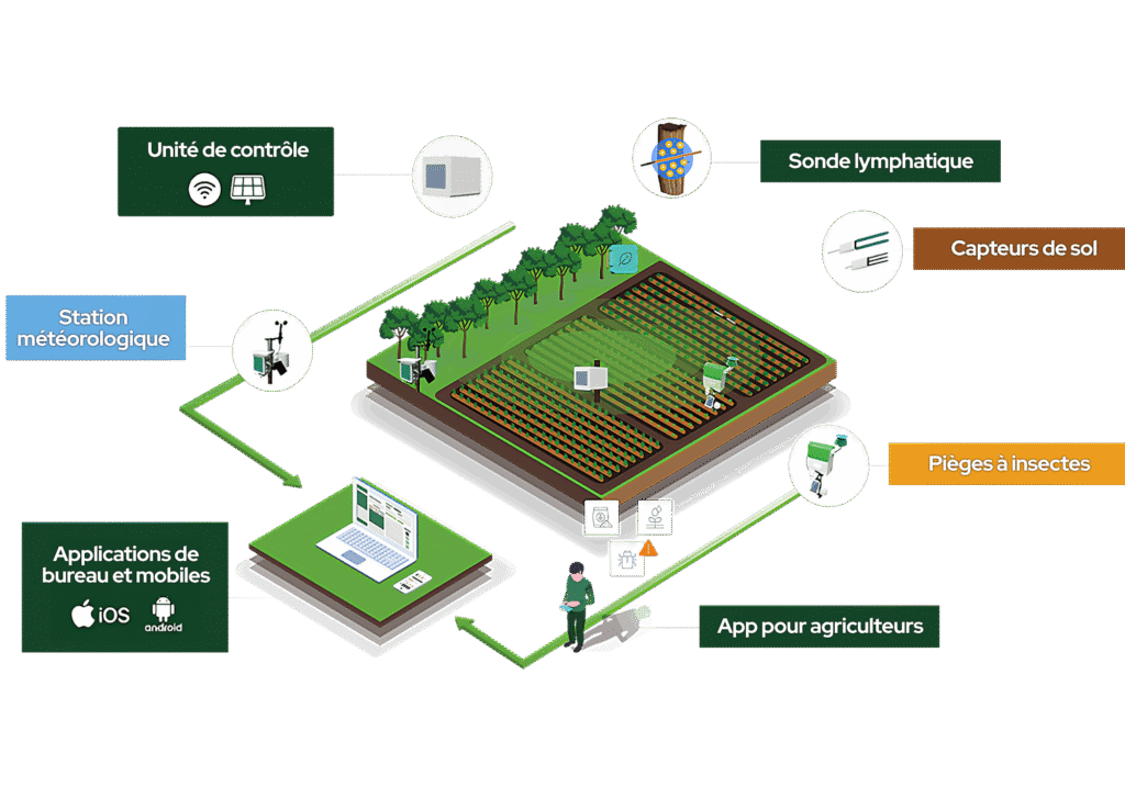 Carnets de terrain 5 Écosystème Plantvoice