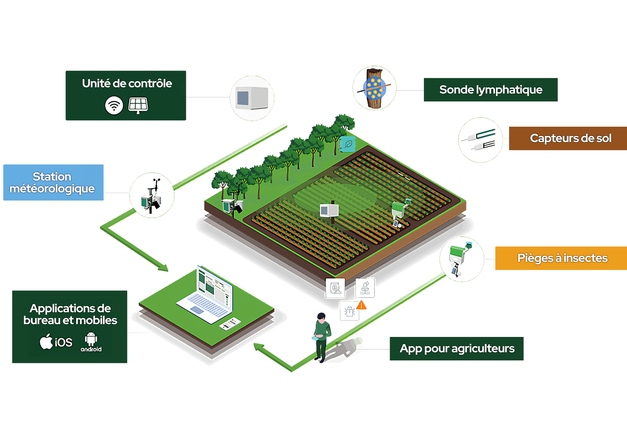 Écosystème Plantvoice