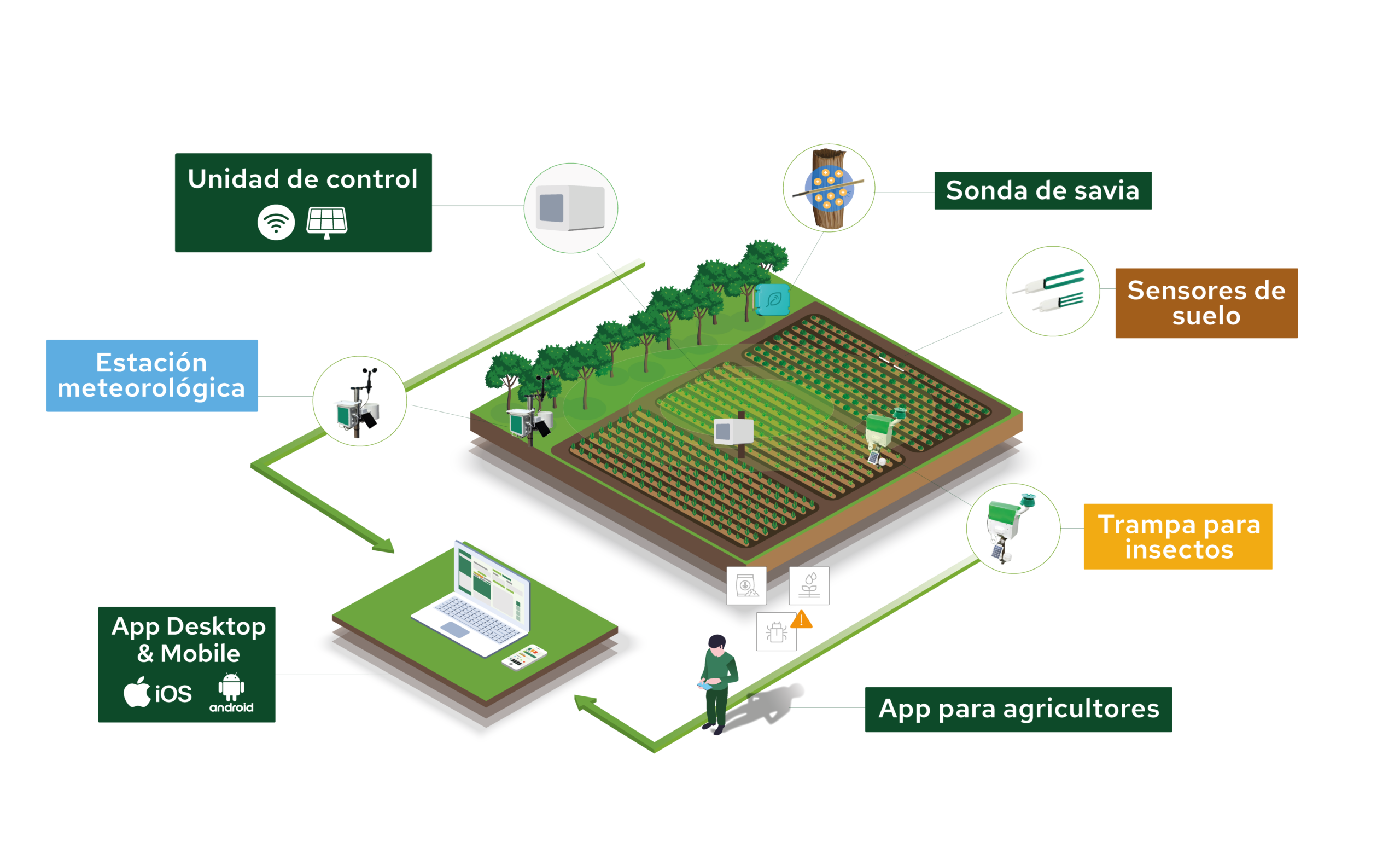 Ecosistema Plantvoice
