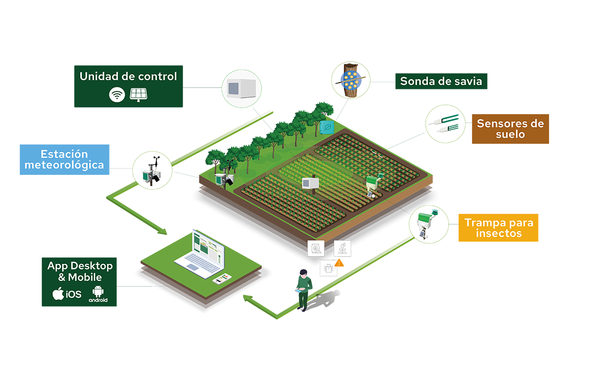Ecosistema Plantvoice