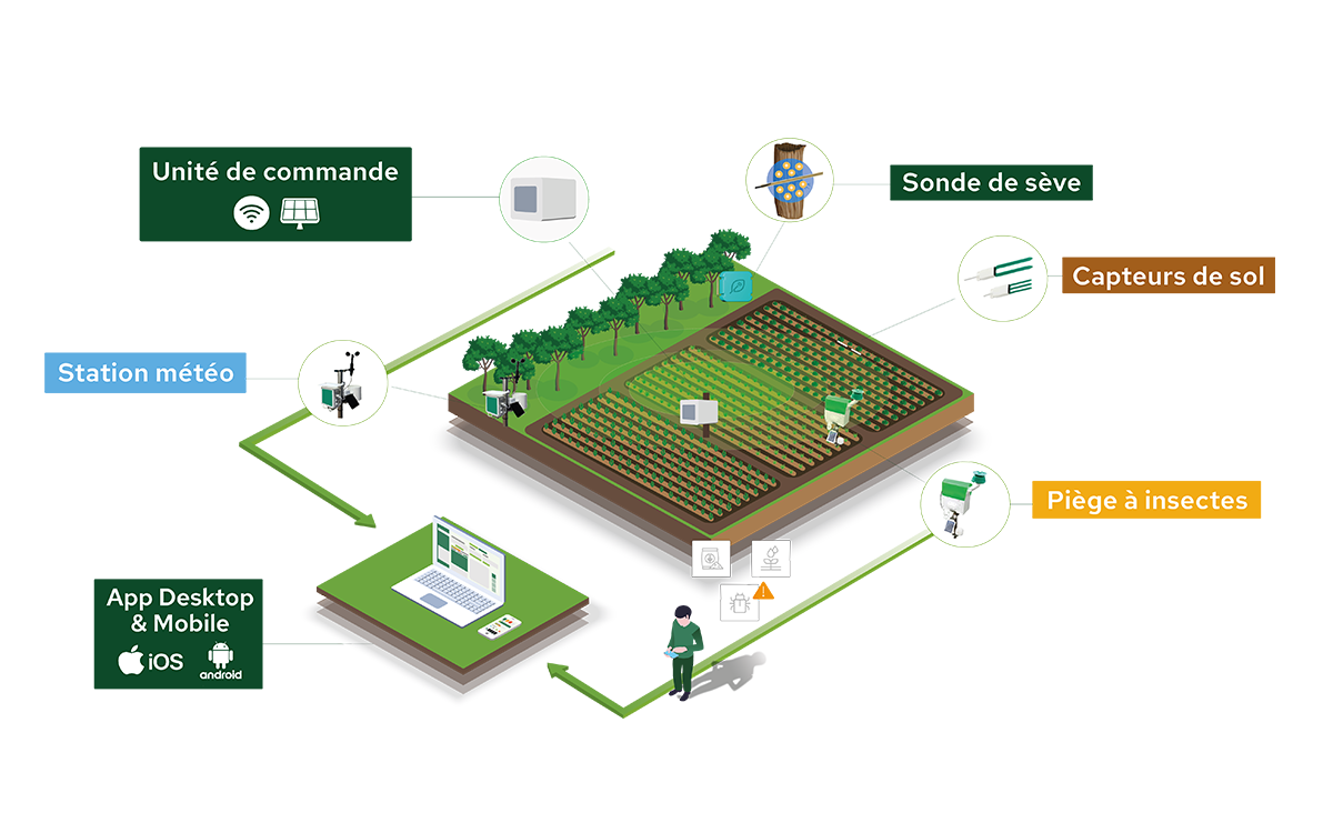 &Eacute;cosyst&egrave;me Plantvoice