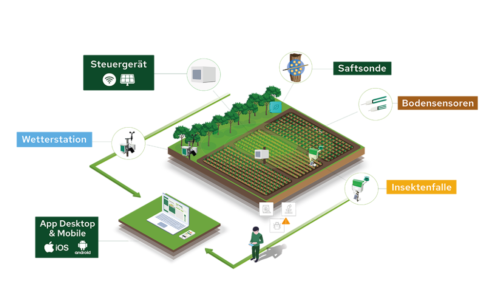 Field Notes 5 Plantvoice Ökosystem
