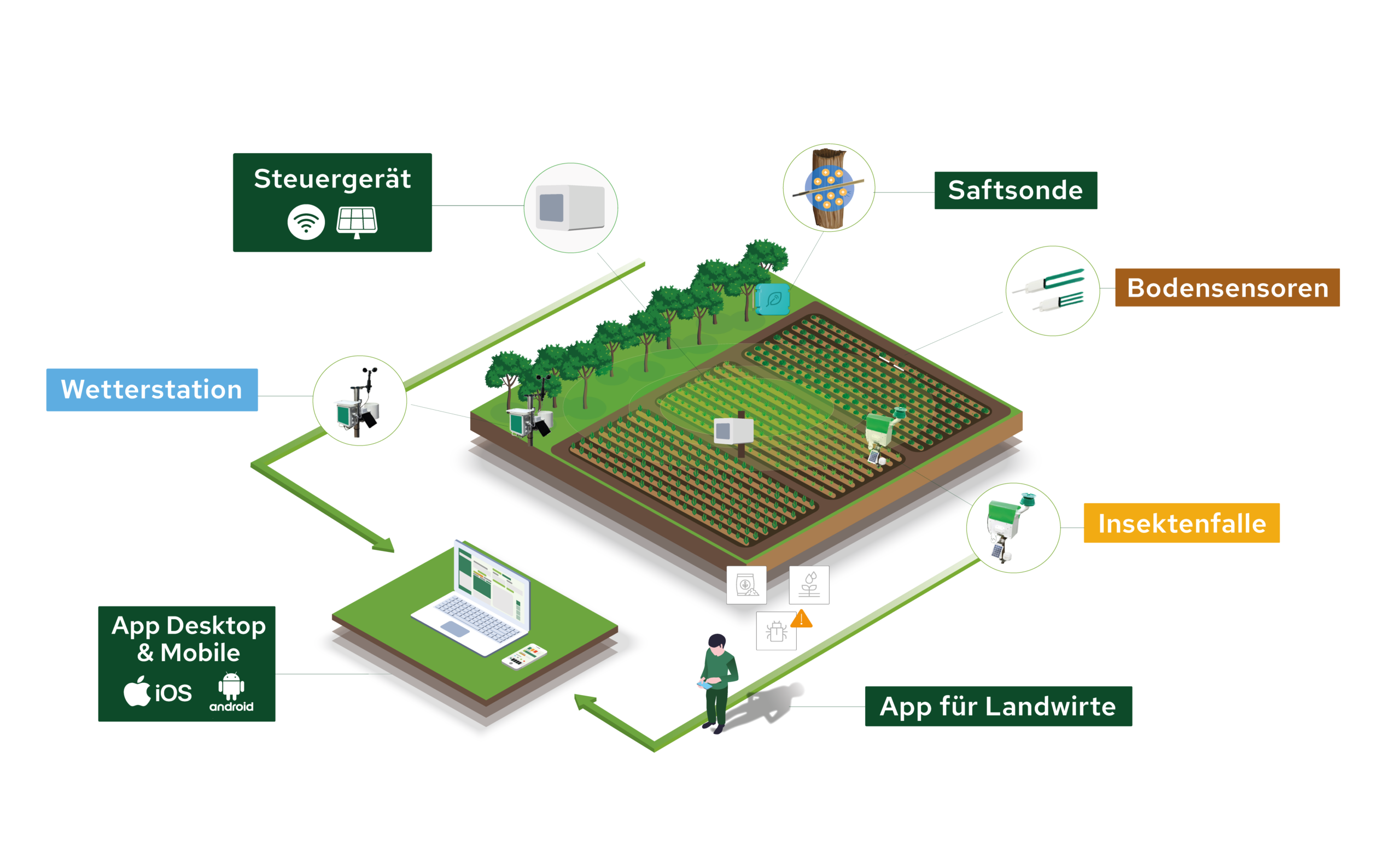 Plantvoice Ökosystem