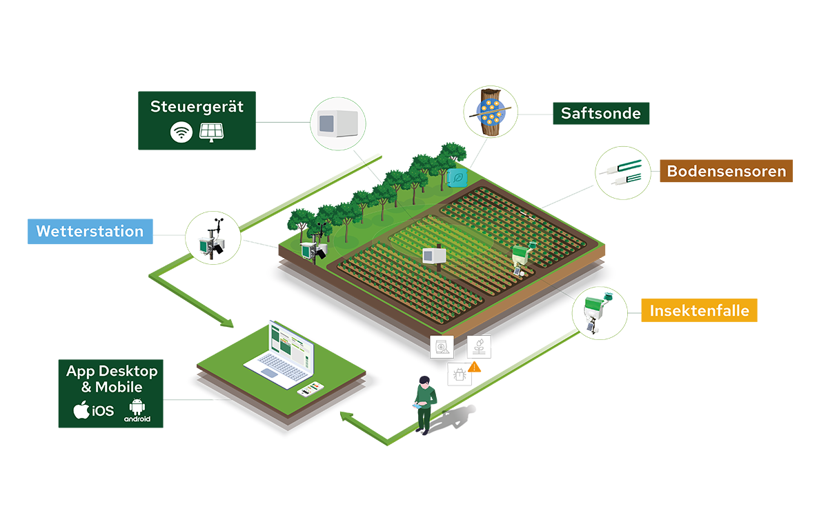 Plantvoice &Ouml;kosystem