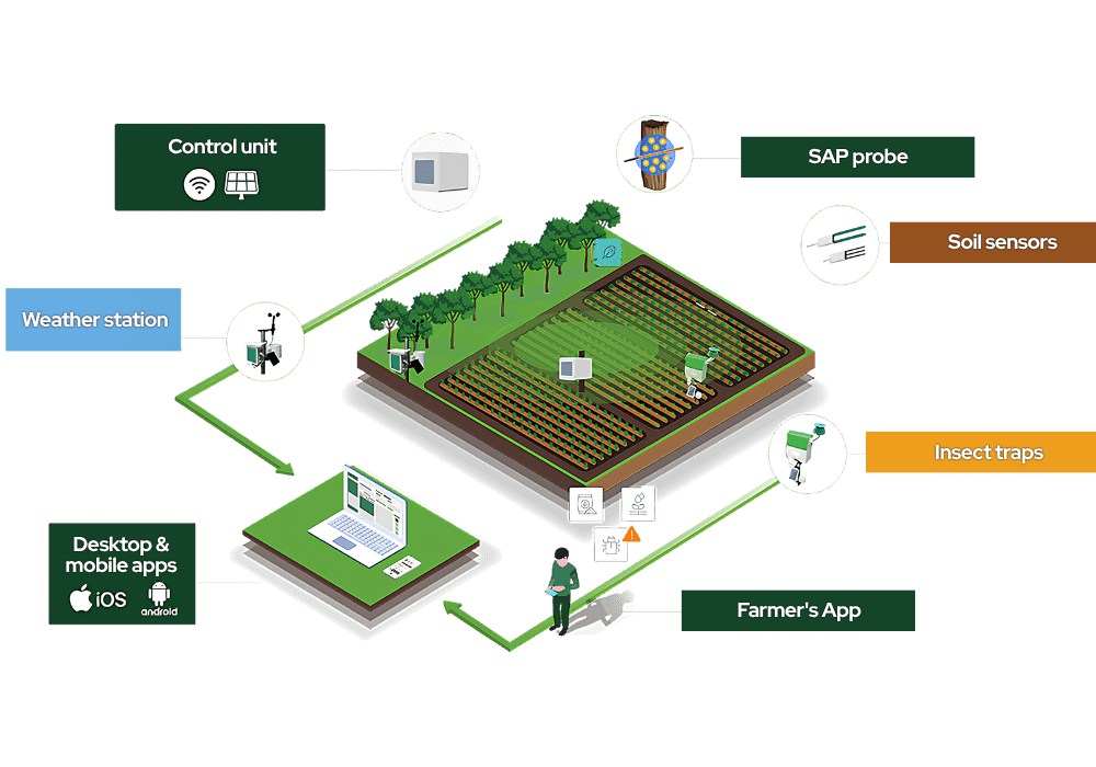 ecosystem en sap